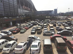 二手车在省内限迁解除一个月 杭州二手车交易量同比涨了三成